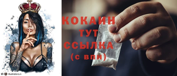 спиды Абаза