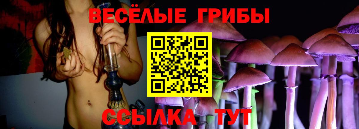 Галлюциногенные грибы MAGIC MUSHROOMS Ковров